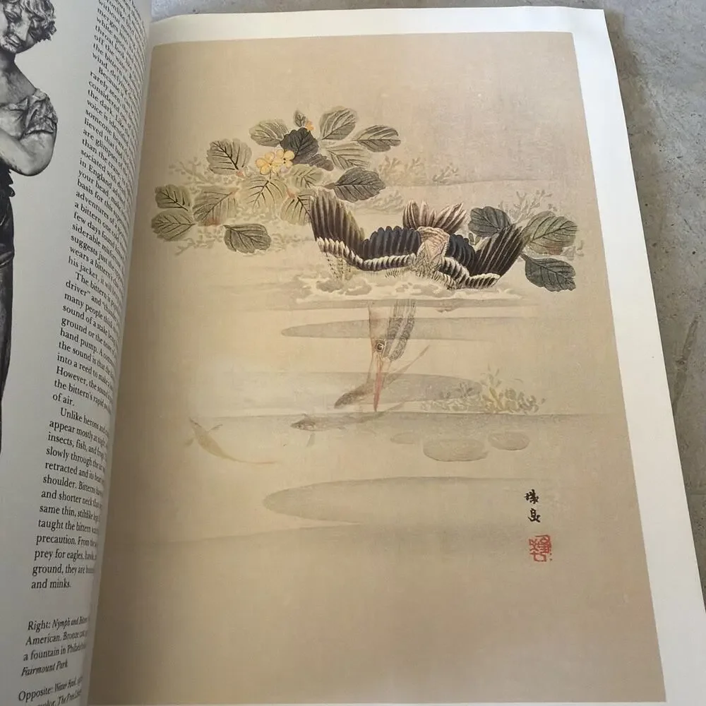 N/A illustrated bird